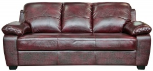 Трехместный комбинированный диван-кровать Питсбург