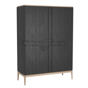 Шкаф для одежды ICONS 2 двери РВ 102, мореный дуб