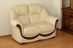 Двухместный диван-кровать Дельта в натуральной коже
